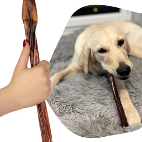 Dogario Bonni Penis Long - twardy przysmak dla psów 30cm Dogario Bonni Penis Long - twardy przysmak dla psów 30cm