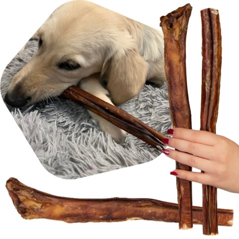 Dogario Bonni Penis Long - twardy przysmak dla psów 30cm Dogario Bonni Penis Long - twardy przysmak dla psów 30cm