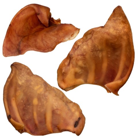 Dogario Bonni Pig's Ear L - duże wieprzowe ucho gryzak dla psa x10 Dogario Bonni Pig's Ear L - duże wieprzowe ucho gryzak dla psa x10