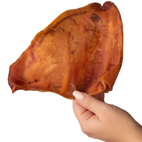 Dogario Bonni Pig's Ear L - duże wieprzowe ucho gryzak dla psa Dogario Bonni Pig's Ear L - duże wieprzowe ucho gryzak dla psa