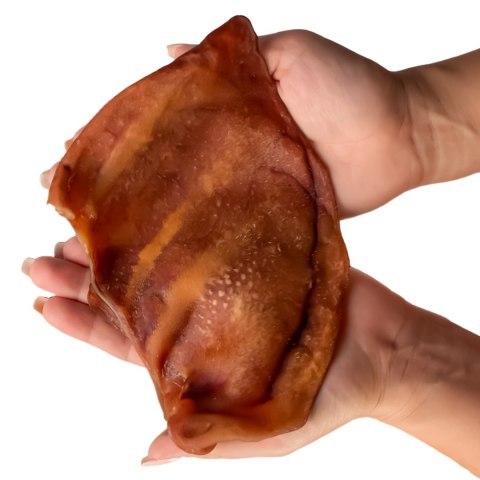 Dogario Bonni Pig's Ear L - duże wieprzowe ucho gryzak dla psa Dogario Bonni Pig's Ear L - duże wieprzowe ucho gryzak dla psa