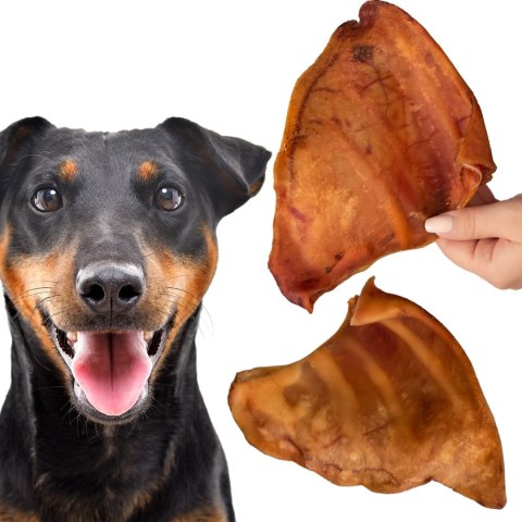 Dogario Bonni Pig's Ear L - duże wieprzowe ucho gryzak dla psa Dogario Bonni Pig's Ear L - duże wieprzowe ucho gryzak dla psa