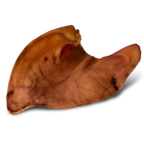 Dogario Bonni Pig's Ear L - duże wieprzowe ucho gryzak dla psa Dogario Bonni Pig's Ear L - duże wieprzowe ucho gryzak dla psa