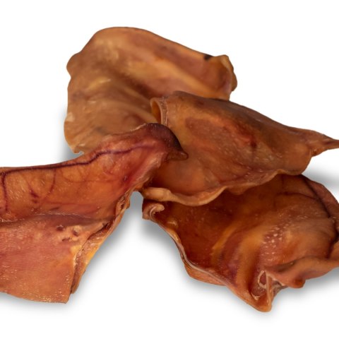 Dogario Bonni Pig's Ear L - duże wieprzowe ucho gryzak dla psa Dogario Bonni Pig's Ear L - duże wieprzowe ucho gryzak dla psa