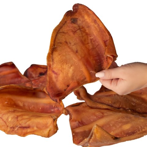 Dogario Bonni Pig's Ear L - duże wieprzowe ucho gryzak dla psa Dogario Bonni Pig's Ear L - duże wieprzowe ucho gryzak dla psa