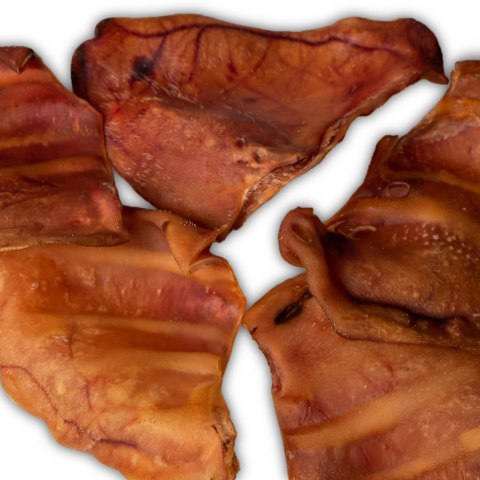 Dogario Bonni Pig's Ear L - duże wieprzowe ucho gryzak dla psa Dogario Bonni Pig's Ear L - duże wieprzowe ucho gryzak dla psa
