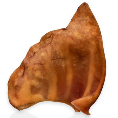 Dogario Bonni Pig's Ear L - duże wieprzowe ucho gryzak dla psa Dogario Bonni Pig's Ear L - duże wieprzowe ucho gryzak dla psa