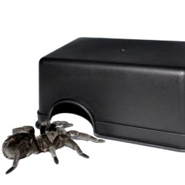 Terrario CubeCave - jaskinia miska na wodę i pokarm 14x9x5cm