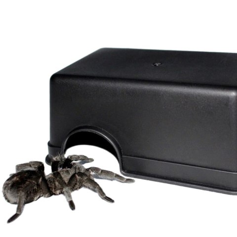 Terrario CubeCave - jaskinia miska na wodę i pokarm 14x9x5cm Terrario CubeCave - jaskinia miska na wodę i pokarm 14x9x5cm