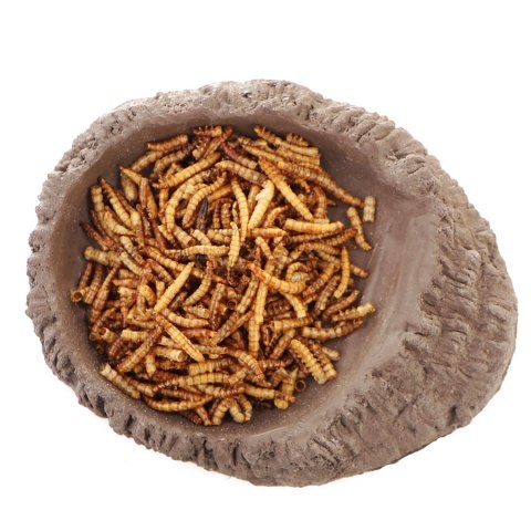 Terrario FoodWood M - miska na pokarm 14x12x2,5cm Terrario FoodWood M - miska na pokarm 14x12x2,5cm