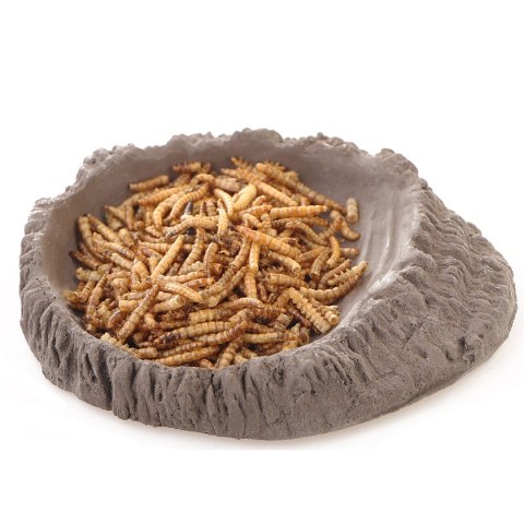 Terrario FoodWood M - miska na pokarm 14x12x2,5cm Terrario FoodWood M - miska na pokarm 14x12x2,5cm