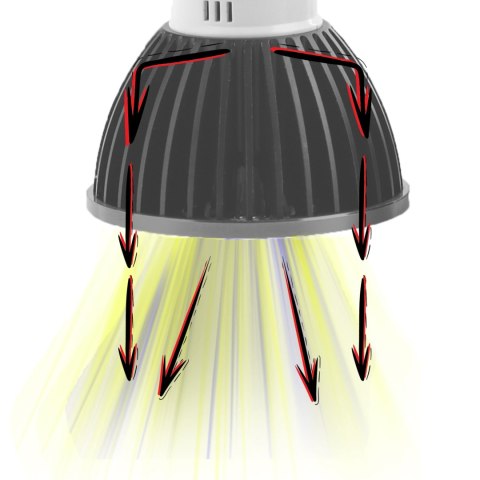 Terrario Reptile's LED UVB 5.0 3W - żarówka LED UVB Terrario Reptile's LED UVB 5.0 3W - żarówka LED UVB
