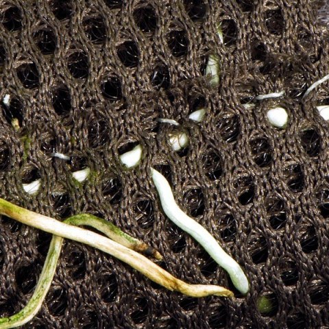 Wacool Rainforest Plant Cotton 290x290mm - hydrolon Wacool Rainforest Plant Cotton 290x290mm - hydrolon
