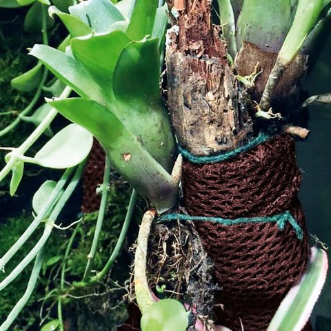Wacool Rainforest Plant Cotton 290x290mm - hydrolon Wacool Rainforest Plant Cotton 290x290mm - hydrolon
