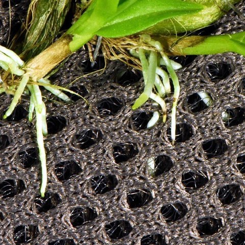 Wacool Rainforest Plant Cotton 590x440mm - hydrolon Wacool Rainforest Plant Cotton 590x440mm - hydrolon