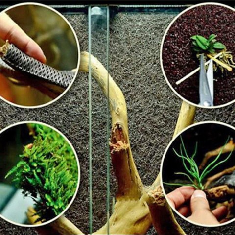 Wacool Rainforest Plant Cotton 590x440mm - hydrolon Wacool Rainforest Plant Cotton 590x440mm - hydrolon