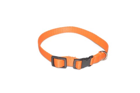 A-004 OBROŻA TAŚMA 20mm/26-44cm A-004 OBROŻA TAŚMA 20mm/26-44cm