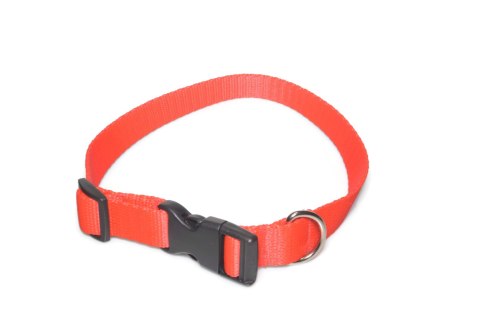 A-005 OBROŻA TAŚMA 25mm/34-55cm A-005 OBROŻA TAŚMA 25mm/34-55cm