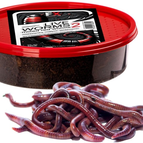 Fishing Expedition Live Worms No.2 - żywe czerwone robaki rozmiar 2 Fishing Expedition Live Worms No.2 - żywe czerwone robaki rozmiar 2
