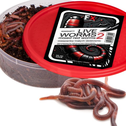 Fishing Expedition Live Worms No.2 - żywe czerwone robaki rozmiar 2 Fishing Expedition Live Worms No.2 - żywe czerwone robaki rozmiar 2