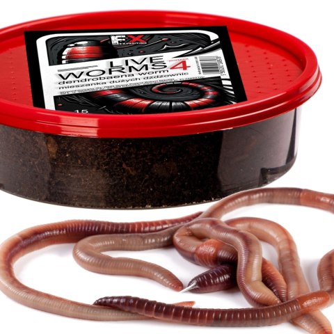 Fishing Expedition Live Worms No.4 - żywe robaki Dendrobena rozmiar 4 Fishing Expedition Live Worms No.4 - żywe robaki Dendrobena rozmiar 4