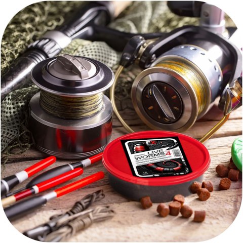 Fishing Expedition Live Worms No.4 - żywe robaki Dendrobena rozmiar 4 Fishing Expedition Live Worms No.4 - żywe robaki Dendrobena rozmiar 4
