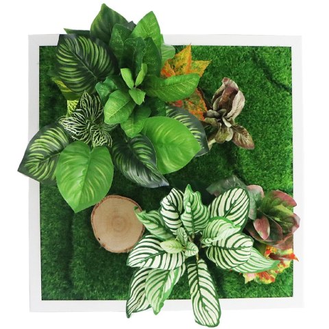 Bello Plant - Calathea Multi - roślina XXL do obrazów 3D Bello Plant - Calathea Multi - roślina XXL do obrazów 3D