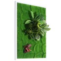 Bello Plant - Calathea Multi - roślina XXL do obrazów 3D