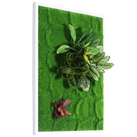 Bello Plant - Calathea Multi - roślina XXL do obrazów 3D Bello Plant - Calathea Multi - roślina XXL do obrazów 3D