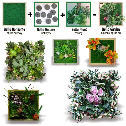 Bello Plant - Calathea Multi - roślina XXL do obrazów 3D Bello Plant - Calathea Multi - roślina XXL do obrazów 3D