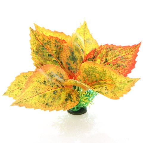 Bello Plant - Golden Polish Autumn Birch- roślina M do obrazów 3D Bello Plant - Golden Polish Autumn Birch- roślina M do obrazów 3D