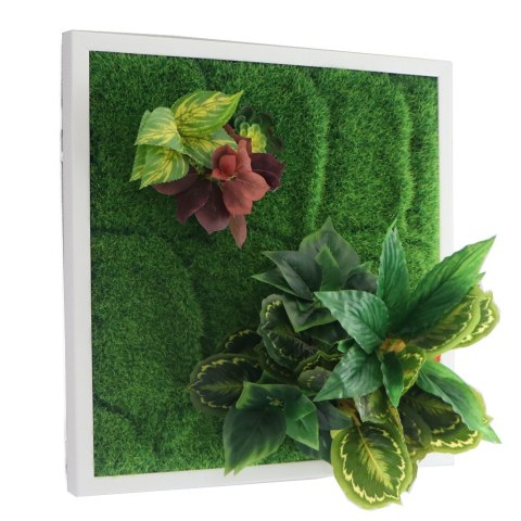 Garden Point - Bello Horizonte 50x50 - ogród ścienny 3D Garden Point - Bello Horizonte 50x50 - ogród ścienny 3D