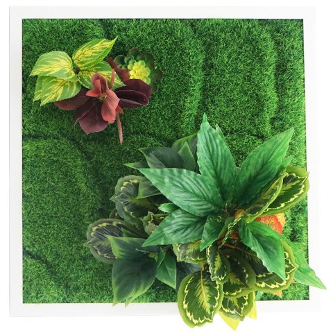 Garden Point - Bello Horizonte 50x50 - ogród ścienny 3D Garden Point - Bello Horizonte 50x50 - ogród ścienny 3D