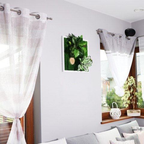 Garden Point - Bello Horizonte 50x50 - ogród ścienny 3D Garden Point - Bello Horizonte 50x50 - ogród ścienny 3D