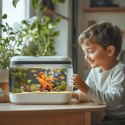 Kruger Meier Happy Starfish Set - Ozdoba z napowietrzaczem do akwarium