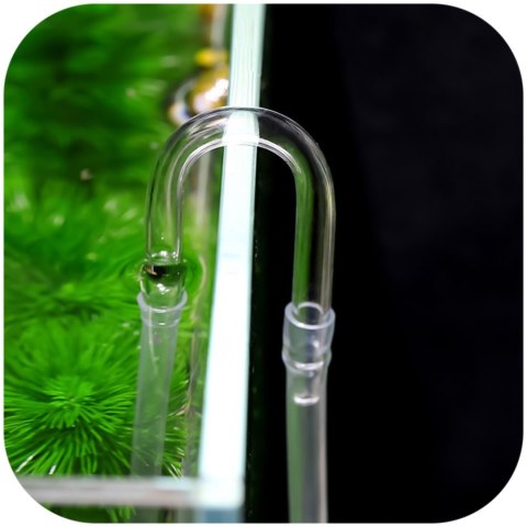 Chihiros U Clip M - kolanko na wężyk 6mm CO2 i napowietrzacza Chihiros U Clip M - kolanko na wężyk 6mm CO2 i napowietrzacza