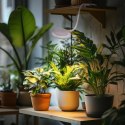Kruger Meier Velluto S-Line - lampa LED do akwarium 10l - 40l