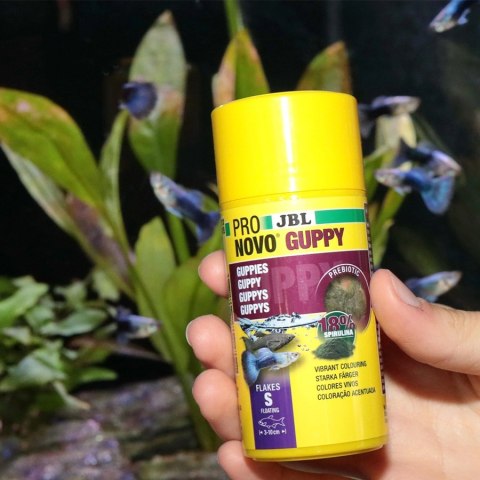 JBL Pronovo Grupy 100ml - pokarm dla gupików i ryb żyworodnych JBL Pronovo Grupy 100ml - pokarm dla gupików i ryb żyworodnych