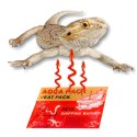 Aqua Heat Pack 40H 'Gold' - ogrzewacz do rąk i transportu zwierząt