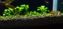 Aqua-art Aqua Substrate PRO 6 L - czarne podłoże