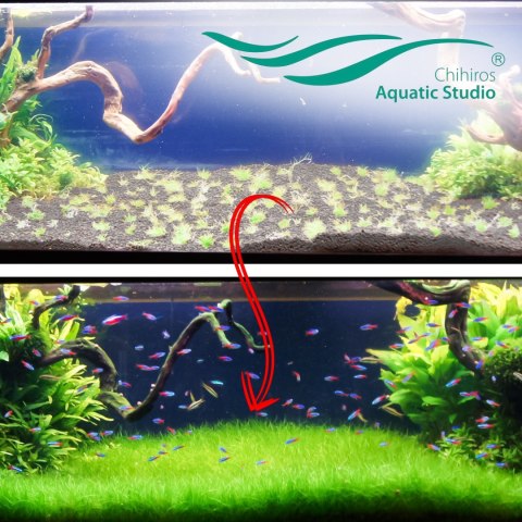 Chihiros Aqua Soil 3l - podłoże do akwarium roślinnego Chihiros Aqua Soil 3l - podłoże do akwarium roślinnego