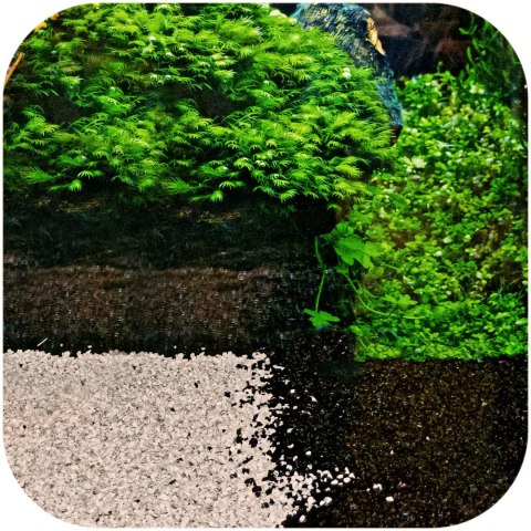 Eco Plant Black River 1kg - żwirek czarny 2-4mm Eco Plant Black River 1kg - żwirek czarny 2-4mm
