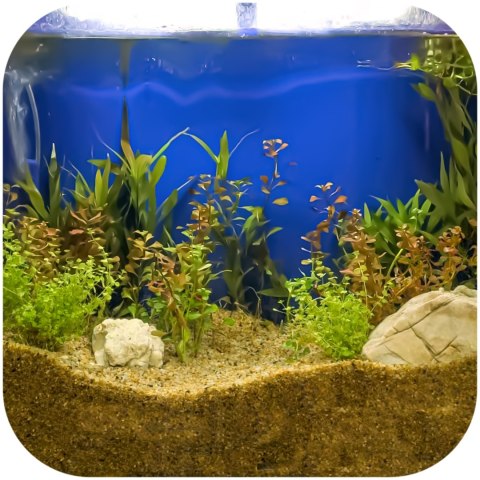 Eco Plant Natural River 1kg - żwir rzeczny 1-3mm Eco Plant Natural River 1kg - żwir rzeczny 1-3mm
