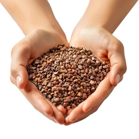 Eco Plant Natural River 1kg - żwir rzeczny 1-3mm Eco Plant Natural River 1kg - żwir rzeczny 1-3mm