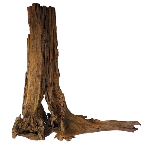 Philippines Classic Driftwood - drzewo mangrowca z wody XXL 70cm - 110cm Philippines Classic Driftwood - drzewo mangrowca z wody XXL 70cm - 110cm