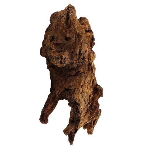 Philippines Classic Driftwood - drzewo mangrowca z wody XXL 70cm - 110cm Philippines Classic Driftwood - drzewo mangrowca z wody XXL 70cm - 110cm