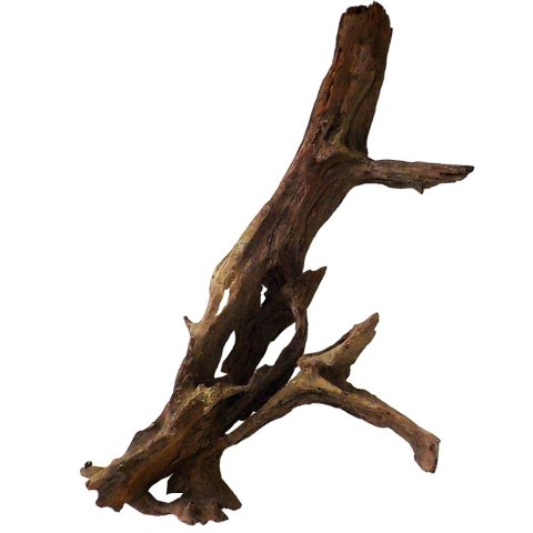 Philippines Classic Driftwood - drzewo mangrowca z wody XXL 70cm - 110cm Philippines Classic Driftwood - drzewo mangrowca z wody XXL 70cm - 110cm