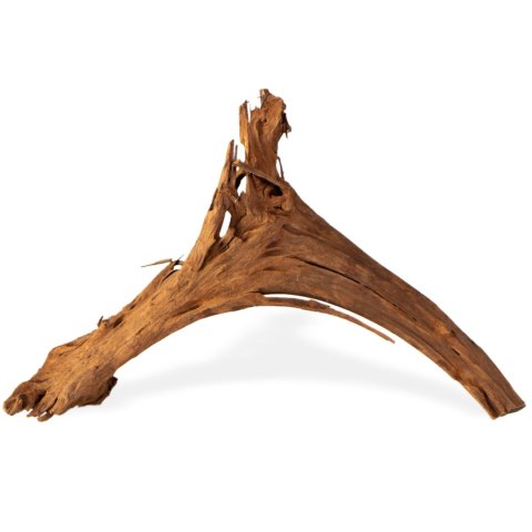 Philippines Classic Driftwood - drzewo mangrowca z wody M 25cm - 30cm Philippines Classic Driftwood - drzewo mangrowca z wody M 25cm - 30cm