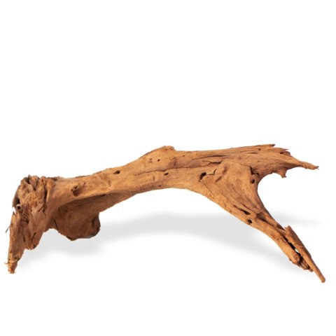 Philippines Classic Driftwood - drzewo mangrowca z wody M 25cm - 30cm Philippines Classic Driftwood - drzewo mangrowca z wody M 25cm - 30cm