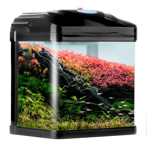 SUNSUN Pika-Pika AquaKids - akwarium 3l czarne SUNSUN Pika-Pika AquaKids - akwarium 3l czarne
